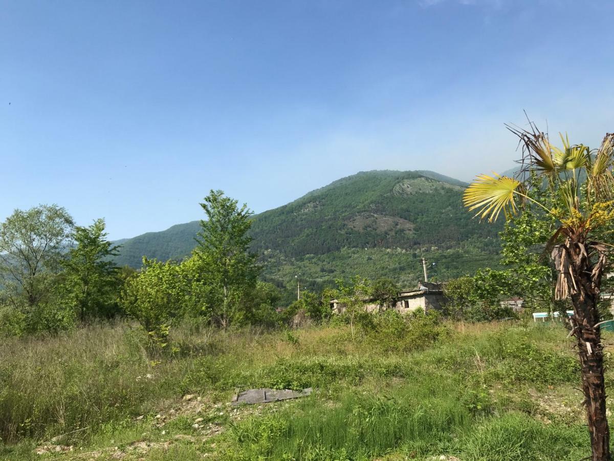 Hotel Ainar Gagra Exterior foto