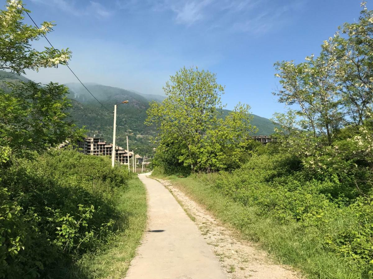 Hotel Ainar Gagra Exterior foto